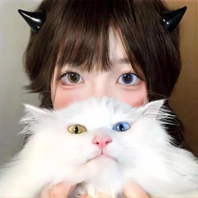 田凫
