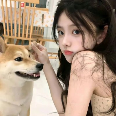 豫见她们