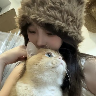 绑架猫王